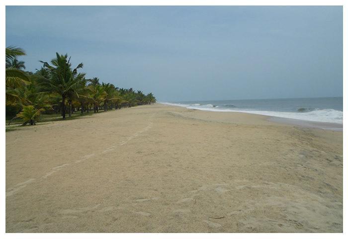 מאראריקולם Marari Beach Paradise מראה חיצוני תמונה
